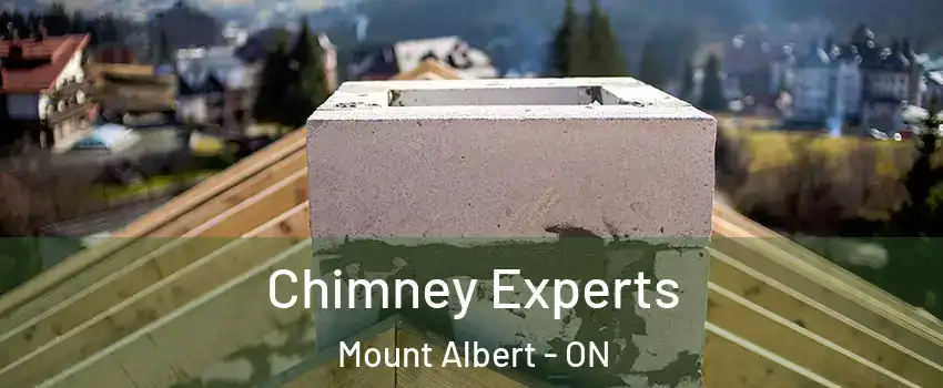 Chimney Experts Mount Albert - ON