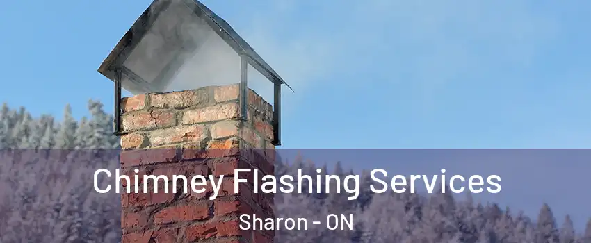 Chimney Flashing Services Sharon - ON
