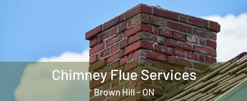 Chimney Flue Services Brown Hill - ON