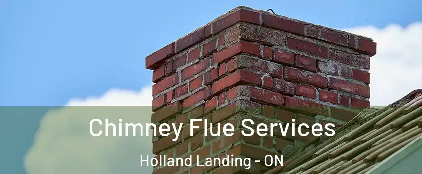  Chimney Flue Services Holland Landing - ON