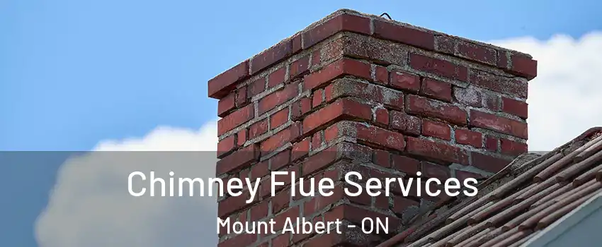  Chimney Flue Services Mount Albert - ON