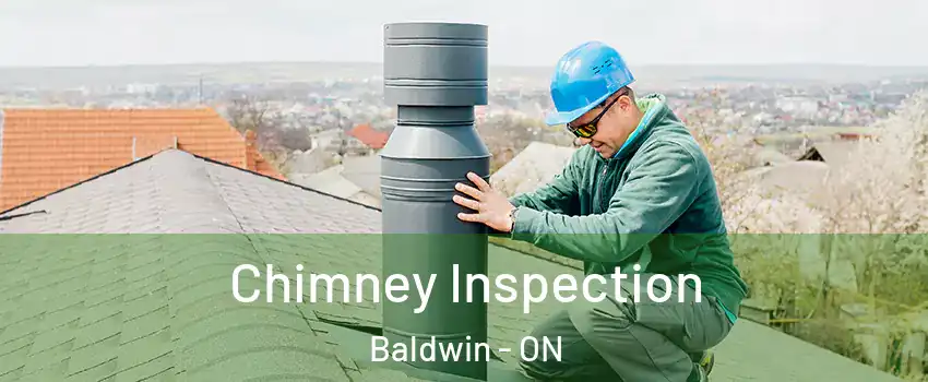  Chimney Inspection Baldwin - ON
