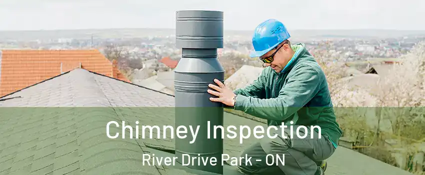  Chimney Inspection River Drive Park - ON