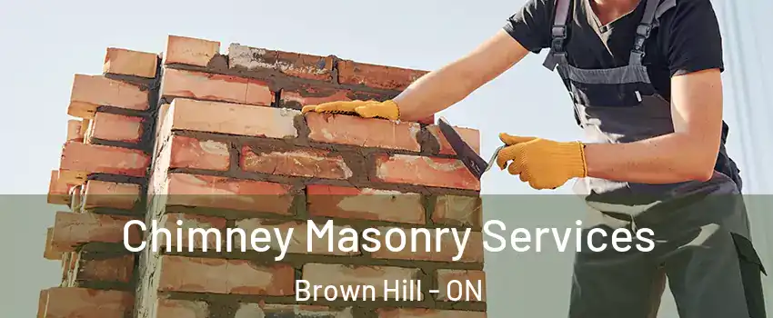  Chimney Masonry Services Brown Hill - ON