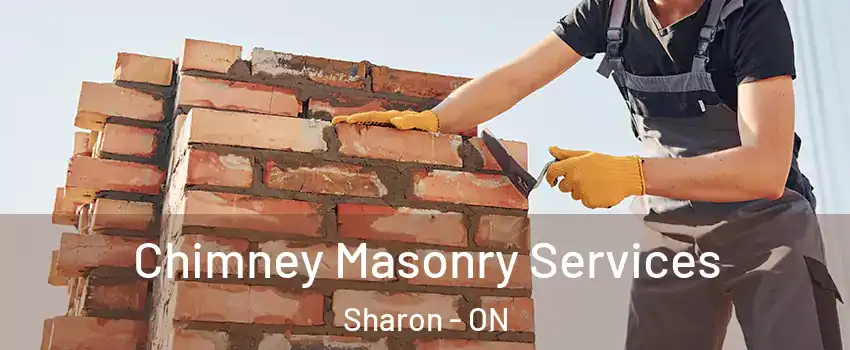  Chimney Masonry Services Sharon - ON