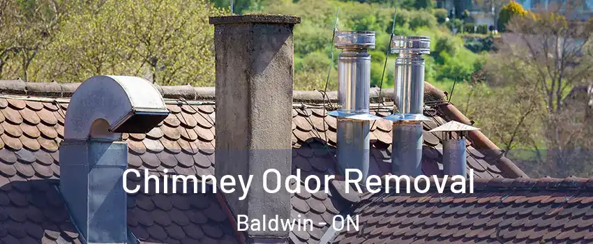  Chimney Odor Removal Baldwin - ON