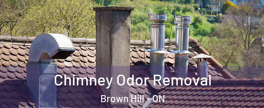  Chimney Odor Removal Brown Hill - ON