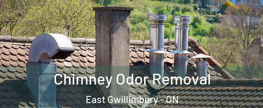  Chimney Odor Removal East Gwillimbury - ON