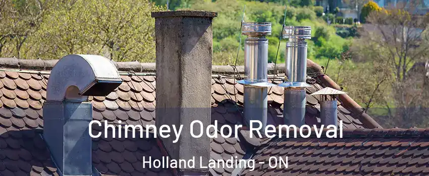  Chimney Odor Removal Holland Landing - ON