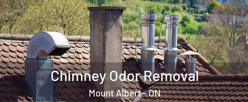  Chimney Odor Removal Mount Albert - ON