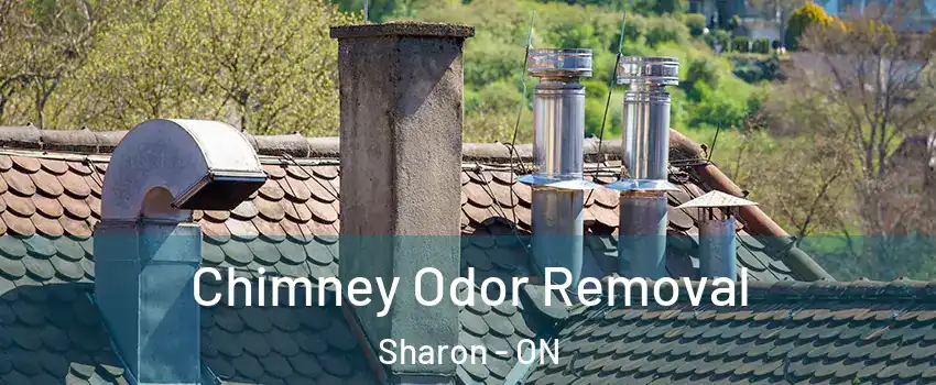  Chimney Odor Removal Sharon - ON
