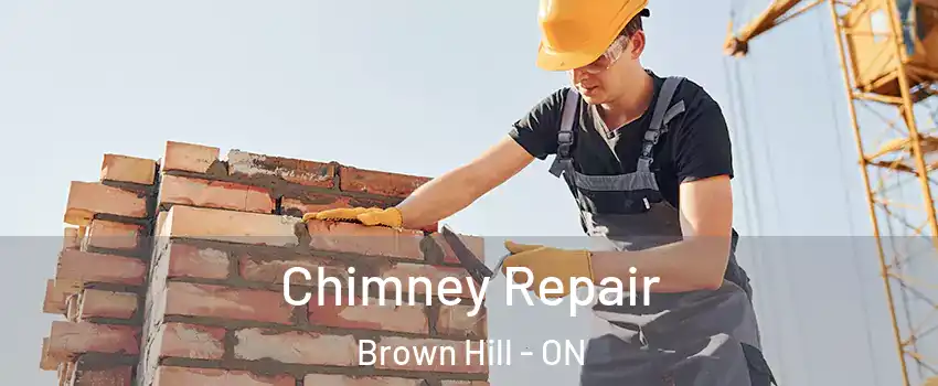  Chimney Repair Brown Hill - ON