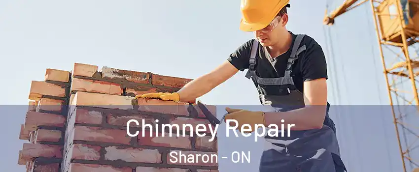  Chimney Repair Sharon - ON