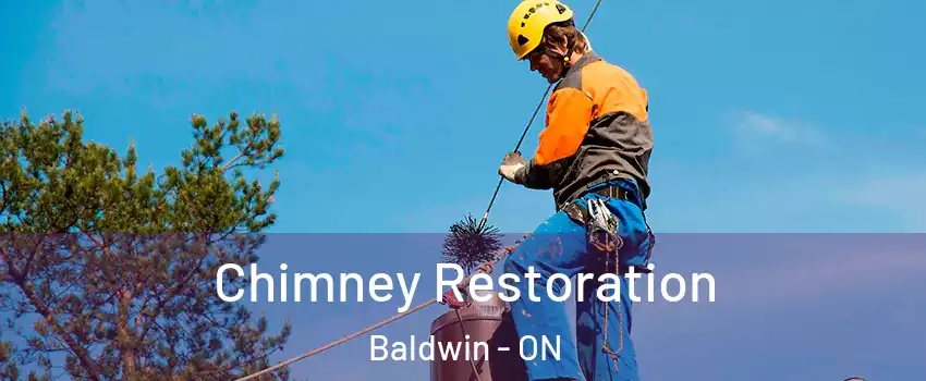  Chimney Restoration Baldwin - ON