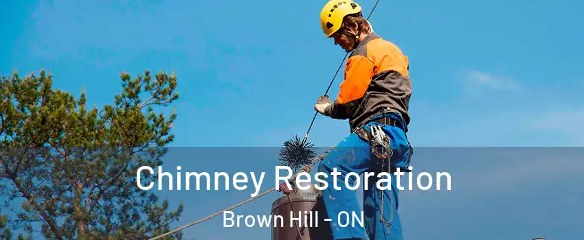  Chimney Restoration Brown Hill - ON