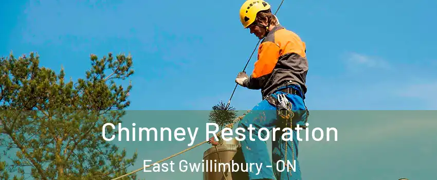  Chimney Restoration East Gwillimbury - ON