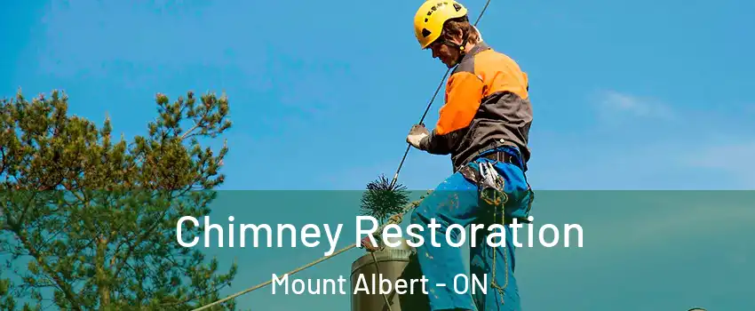  Chimney Restoration Mount Albert - ON
