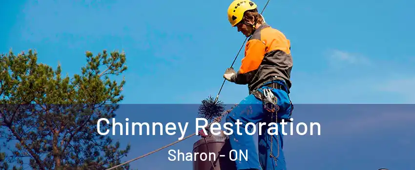  Chimney Restoration Sharon - ON