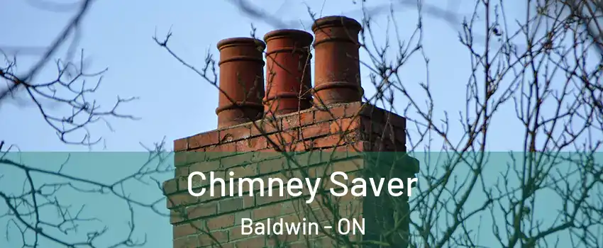  Chimney Saver Baldwin - ON