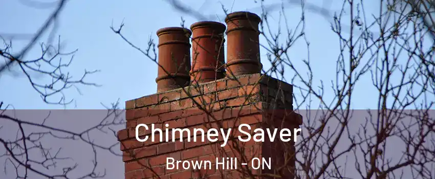  Chimney Saver Brown Hill - ON
