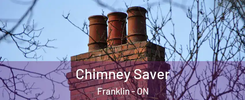  Chimney Saver Franklin - ON