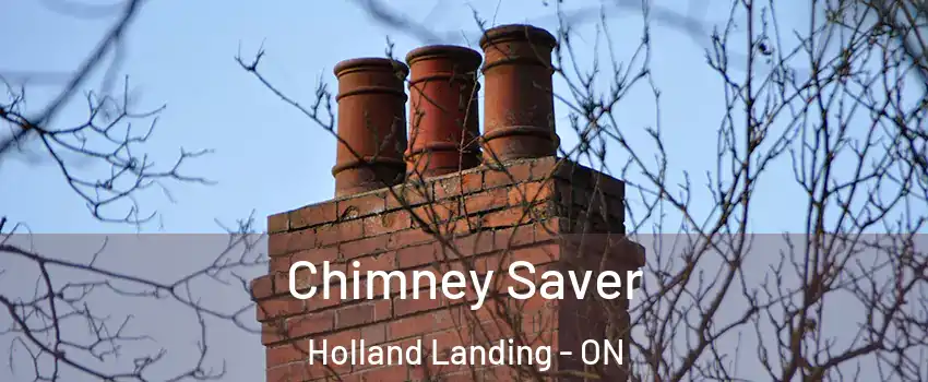  Chimney Saver Holland Landing - ON