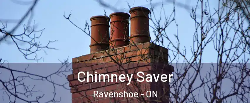  Chimney Saver Ravenshoe - ON