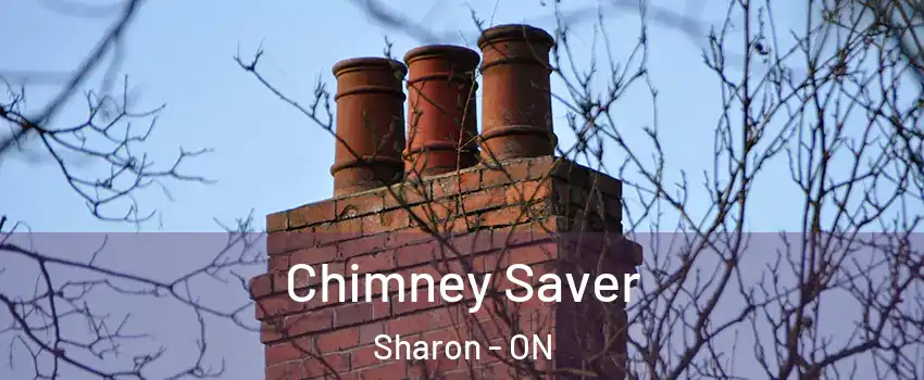  Chimney Saver Sharon - ON