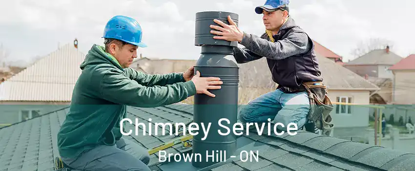  Chimney Service Brown Hill - ON