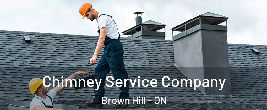  Chimney Service Company Brown Hill - ON