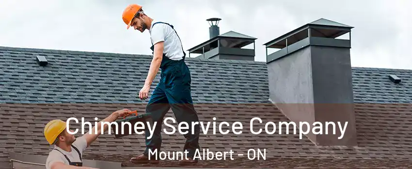  Chimney Service Company Mount Albert - ON