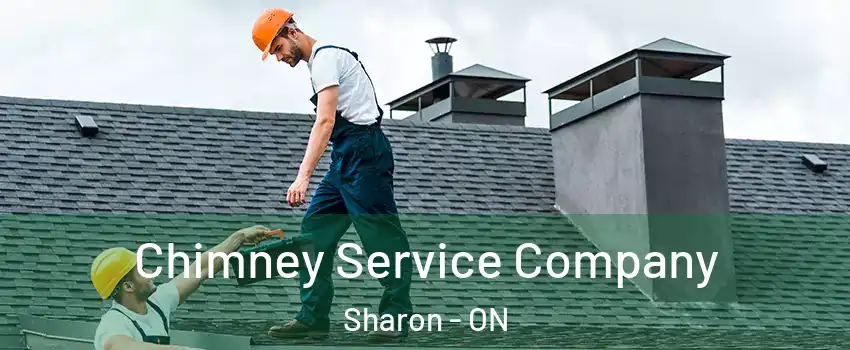  Chimney Service Company Sharon - ON