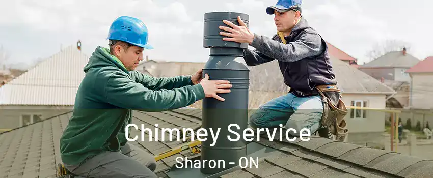  Chimney Service Sharon - ON