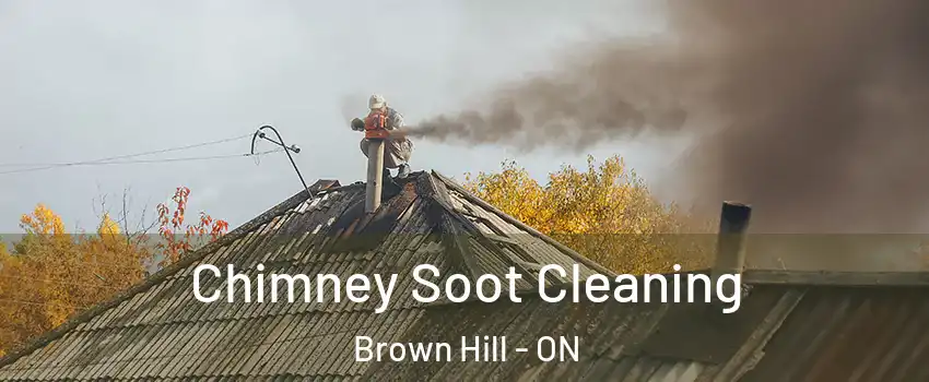  Chimney Soot Cleaning Brown Hill - ON