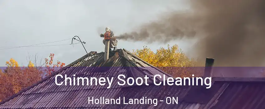  Chimney Soot Cleaning Holland Landing - ON