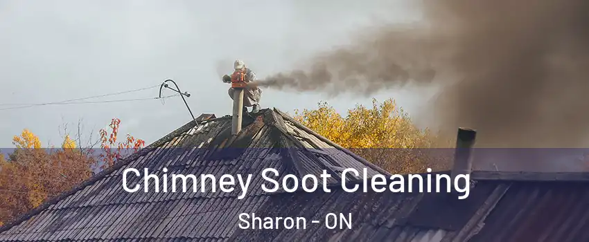  Chimney Soot Cleaning Sharon - ON