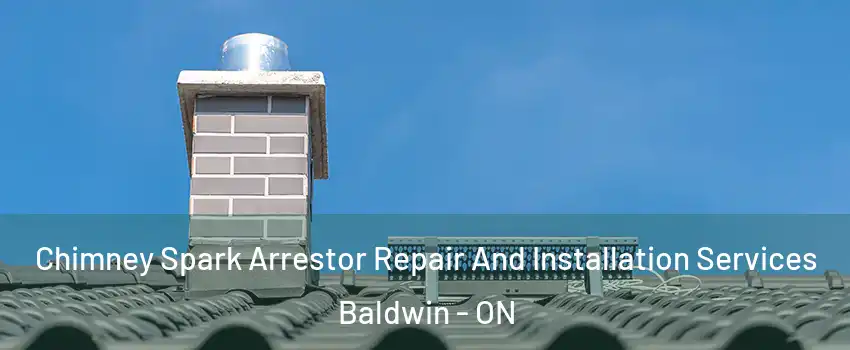  Chimney Spark Arrestor Repair And Installation Services Baldwin - ON