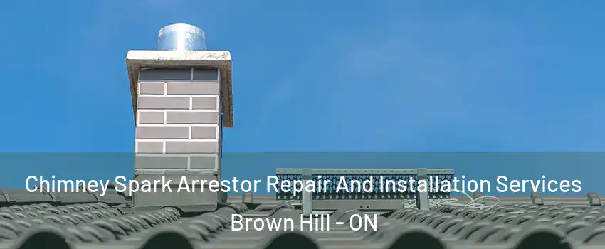  Chimney Spark Arrestor Repair And Installation Services Brown Hill - ON