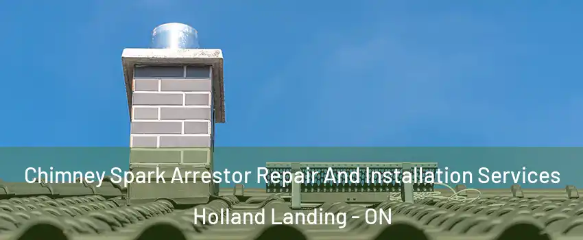  Chimney Spark Arrestor Repair And Installation Services Holland Landing - ON