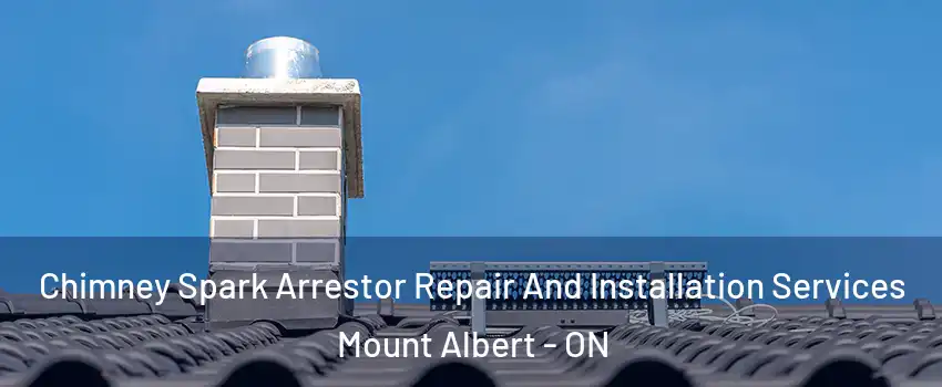  Chimney Spark Arrestor Repair And Installation Services Mount Albert - ON