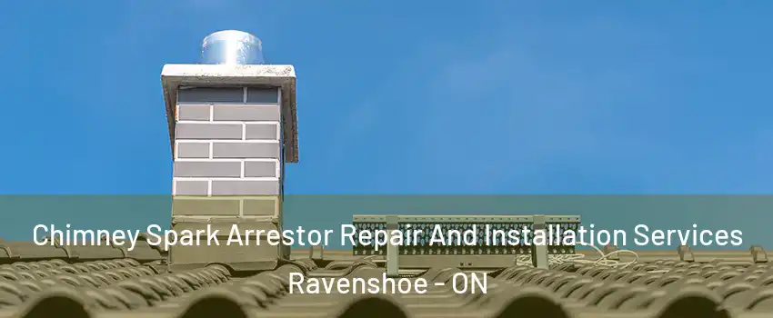  Chimney Spark Arrestor Repair And Installation Services Ravenshoe - ON