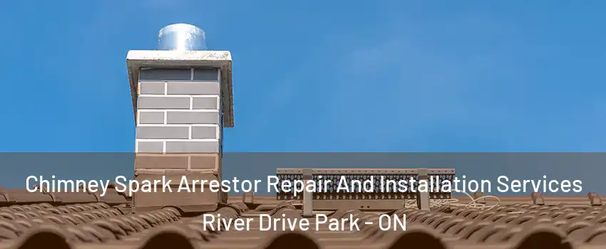  Chimney Spark Arrestor Repair And Installation Services River Drive Park - ON
