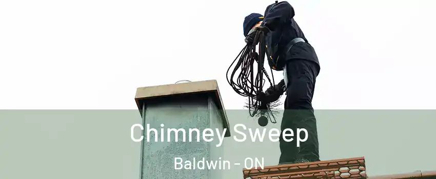  Chimney Sweep Baldwin - ON