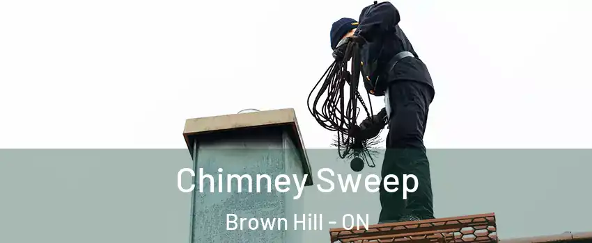  Chimney Sweep Brown Hill - ON