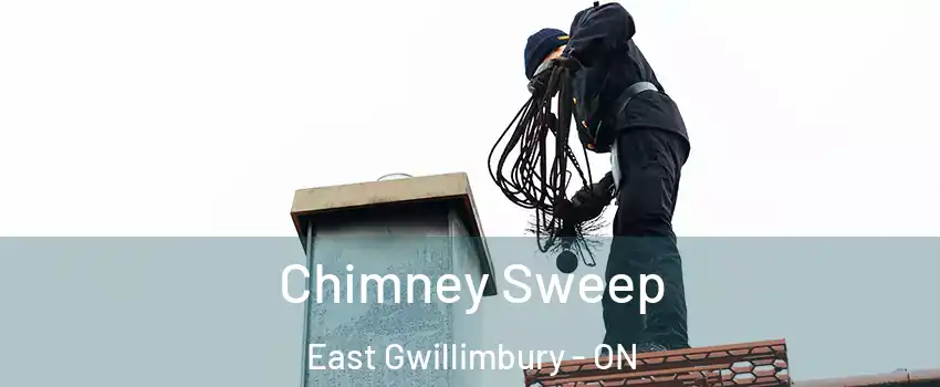  Chimney Sweep East Gwillimbury - ON