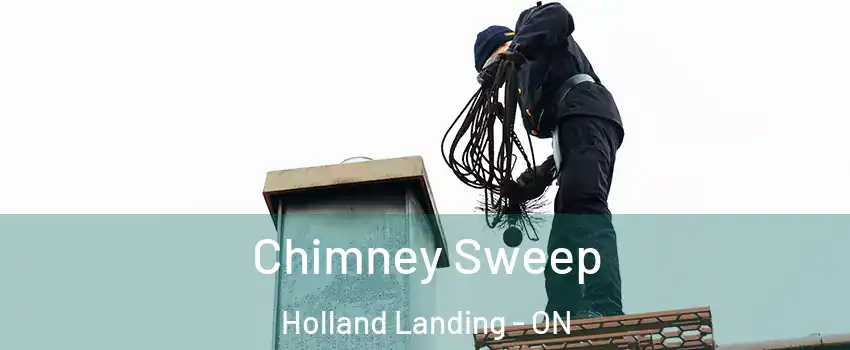  Chimney Sweep Holland Landing - ON