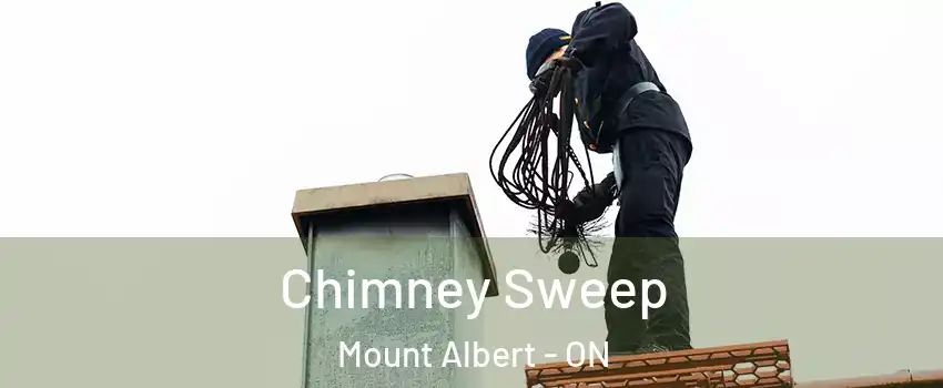  Chimney Sweep Mount Albert - ON