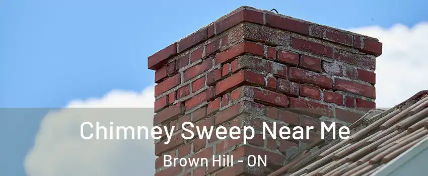  Chimney Sweep Near Me Brown Hill - ON