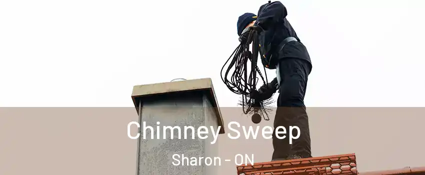  Chimney Sweep Sharon - ON