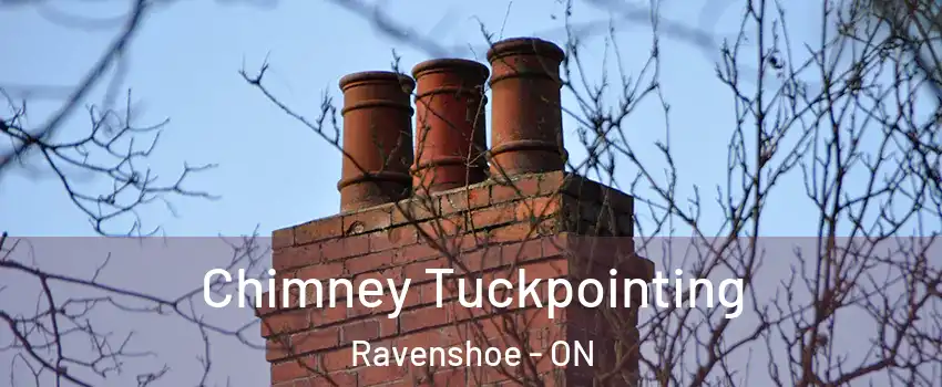  Chimney Tuckpointing Ravenshoe - ON